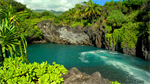 Fond d'écran gratuit de OCEANIE - Hawai numéro 59308